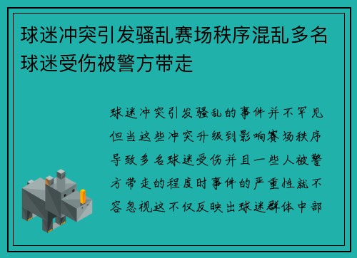 球迷冲突引发骚乱赛场秩序混乱多名球迷受伤被警方带走